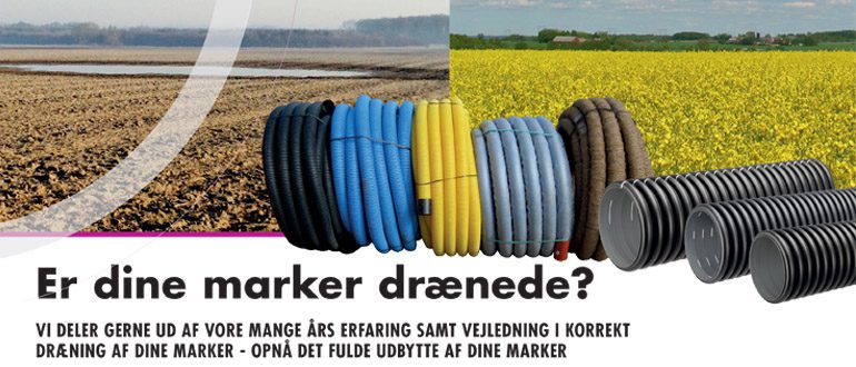 markdraen